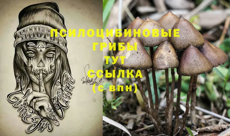 МЕГА   Елабуга  Псилоцибиновые грибы Magic Shrooms 